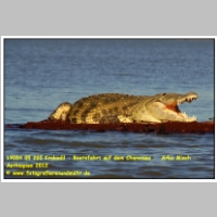 19084 05 200 Krokodil - Bootsfahrt auf dem Chamosee -  Arba Minch - Aethiopien 2012.JPG